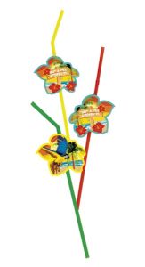 Beach Drinking Straws 6 Pack