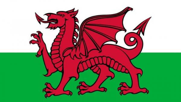 St David's Day 2017: Party Like the Welsh!