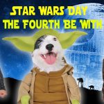 May The 4th Be With You