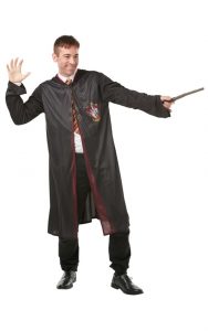 Teachers World Book Day Harry Potter robe