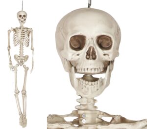 Halloween Is Coming! Skeleton Prop