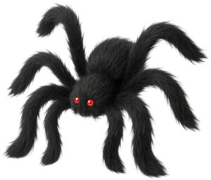 Halloween Is Coming! Spider Prop