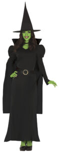 Fantasy Witch Costume